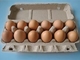 卵の皿の乾燥システムが付いているPLC制御回転式タイプ卵のカートン メーカーの卵のカートン機械