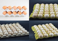 大きい容量によってリサイクルされるパルプの卵の皿の生産ラインRotrayのタイプ省エネ