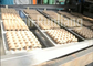 大きい容量によってリサイクルされるパルプの卵の皿の生産ラインRotrayのタイプ省エネ