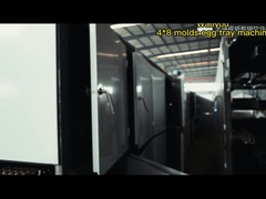 380V/220V/往復および回転成形付きカスタマイズされた卵トレイ製造機 1年保証