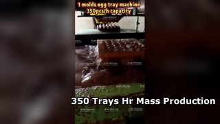 卵トレイ機械 3000 個 hr 大量生産
