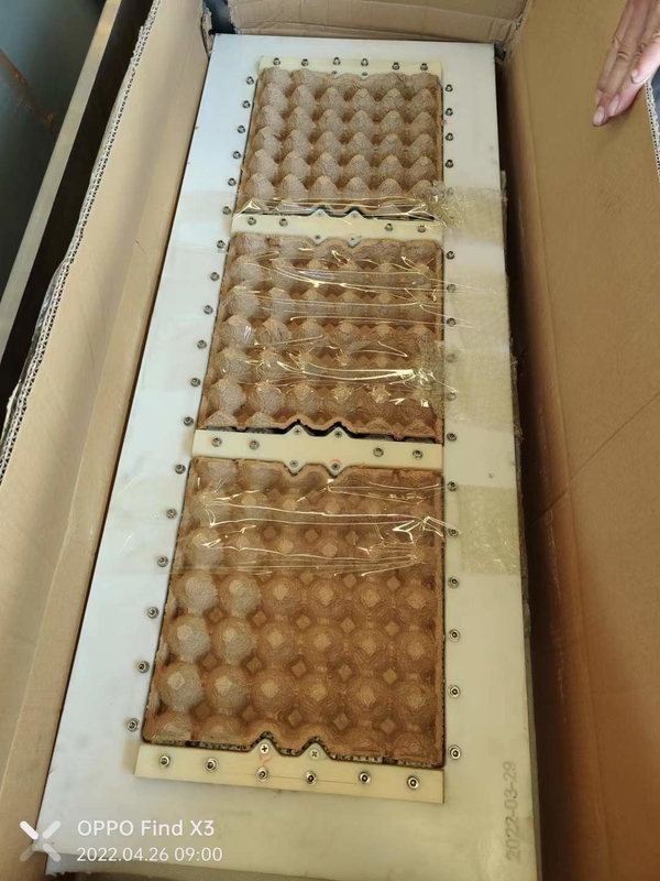 完全自動 大容量 卵箱 生産ライン 3*4 模具 形成