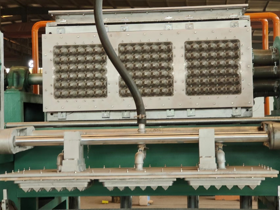 70-150KW 高性能ローティング・エッグ・トレイ・マシン,先進技術と低エネルギー消費