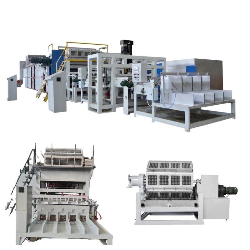 30-150KW 異なる容量紙卵皿 生産ライン 先進技術と低エネルギー消費の卵皿マシン
