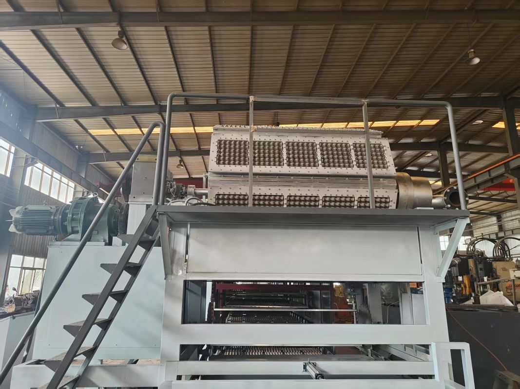 5000個/時 自動スタッキング・乾燥技術搭載 ロータリーエッグトレイ製造ライン (効率的な製造のためのPLC制御)