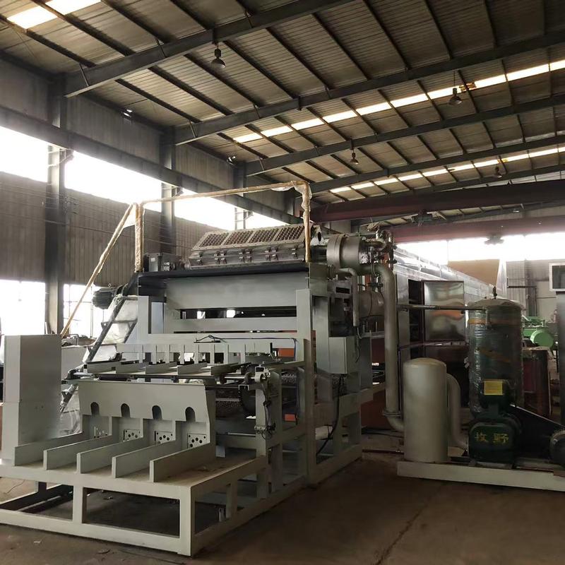 3000pcs/h 4+4 Molds Automatic Egg Tray Machine Production Line Using Recycled Paper Pulp to Create Various Types of Egg Trays and Cartons PLC Controlled