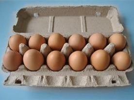 古紙パルプ卵トレイ機 卵カートン製造ライン 卵包装用機械 350個/時～3000個/時