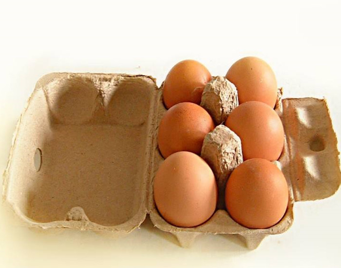 専門のペーパー パルプの鋳造物装置の回転式形成ペーパー卵の皿の生産