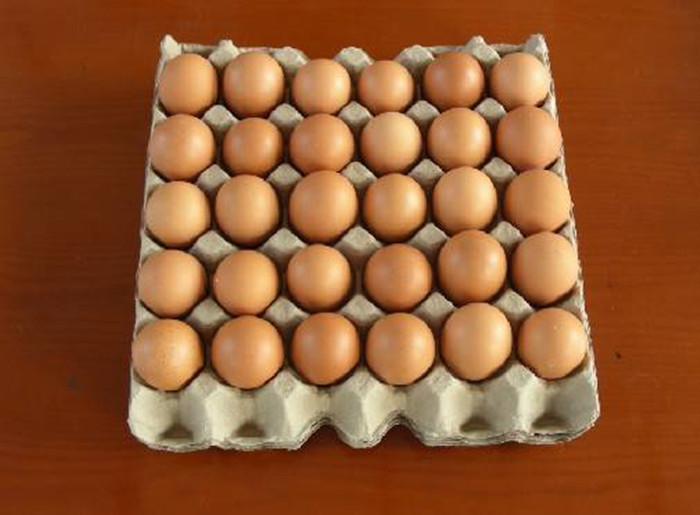 フォーム形式の上下に機械を作る1つの型小さい容量のペーパー卵の皿
