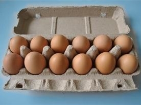 フォーム形式の上下に機械を作る1つの型小さい容量のペーパー卵の皿