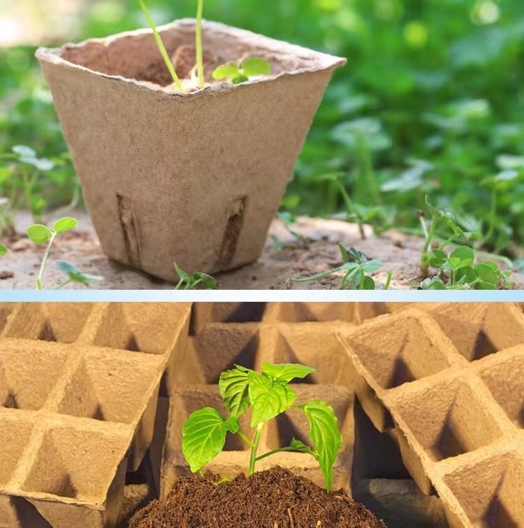 養鶏場の小さい生産能力のための機械を作る紙くずの卵の皿をパルプにしなさい