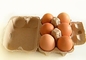 機械/パルプの鋳造物装置を作る紙くずの卵の皿長い生命使用