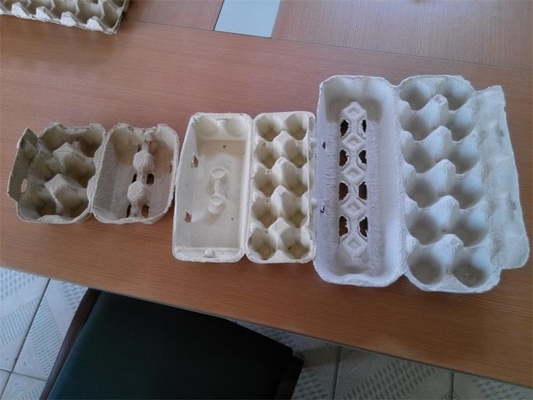 タイプ卵の皿の生産ライン パルプの成形機の小さい容量を交換します