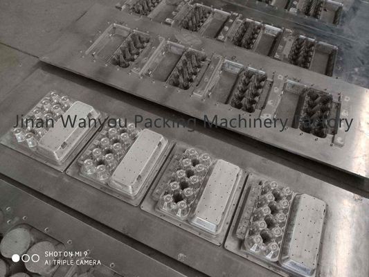 3000pcs/hrは乾燥ラインが付いている卵のカートン作成機械ずき紙の皿装置を壁紙を張ります
